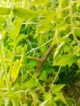 IMG_20130817_182314.jpg