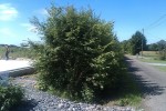 IMAG00861.jpg
