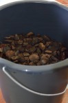 L'ecorce de pin
