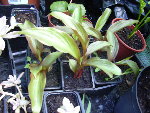 DSCN5818.JPG