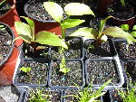 DSCN5828.JPG