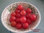 ANMORES TREASURE Les fruits.jpg