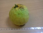 20130826_144653.jpg