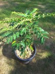 20130828_170219.jpg
