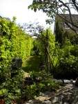 2013-05-15 Jardin   (9)bis.jpg