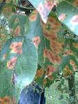 Photo029.jpg