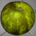 Pomme granny tachée