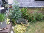 Gros fouillis qui ne me déplait pas, les dahlias commencent juste leur floraison, pas pressés !