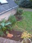 Massif rampant en novembre, autre photo en page 3
