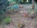 Et une des horreurs du jardin !