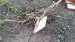 20130905_094129.jpg