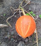 20130905_094202.jpg