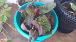 20130905_091515.jpg