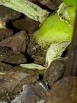 IMG-20130905-03095bis.jpg
