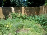 2013-07-10 15.26.49.jpg