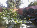 2013-09-05 10.35.54.jpg