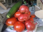 2013-09-05 09.41.59.jpg