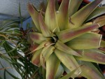 DSC00418.JPG