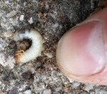 20130907_172605.jpg