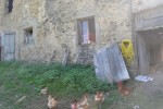 photo jardin.JPG