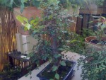 IMG_0196.JPG