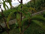 IMG_4688.JPG