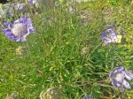 DSC01182.JPG