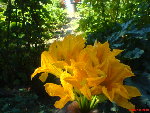 DSC00462.JPG