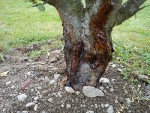 DSC00340.jpg