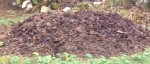 Voici un volume d environ un m 3 prêt a planter