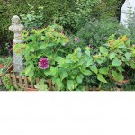 fleur 008.jpg