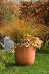 Exemple de potée d'automne mais on peut reproduire à l'identique avec des feuillages verts ou panachés et dans des pots plus petits