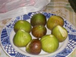 IMGP2521.JPG