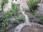 1er essai plantation.jpg