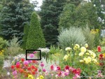 jardin-fleuri.jpg