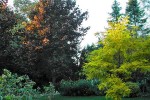 jardin 4.jpg