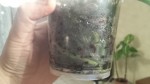 20131004_210927.jpg