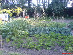 DSC00222.JPG
