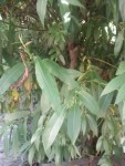 IMG_20131006_114656.jpg