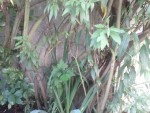 IMG_20131006_114708.jpg