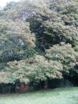 PA050005.JPG