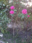 2013-10-07 18.23.39.jpg