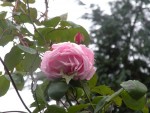 DSCN6980.JPG