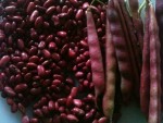 haricots rouge Cuba.JPG