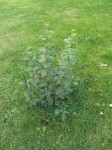 20131021_155044_resized.jpg