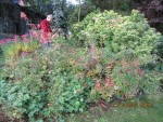 2013-10-22 avant chantier x.jpg
