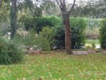 PA263712 red.jpg