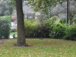 PA263713 red.jpg