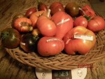 AMANA PINK JD SPECIAL TEX ET AUTRES.jpg