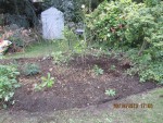 2013-10-30  c'est fini.jpg